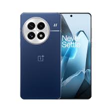 OnePlus 13